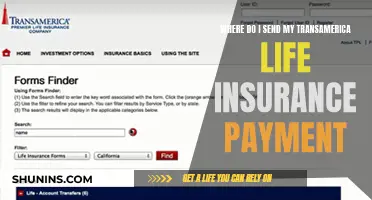 Transamerica Life Insurance: Payment Methods and Tips