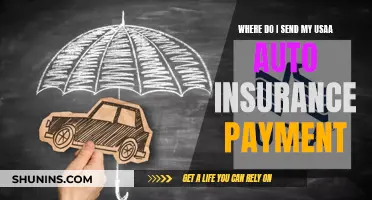 U.S. Auto Insurance: Payment Methods and Options