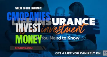 Unveiling Life Insurance Companies' Investment Strategies: A Financial Journey