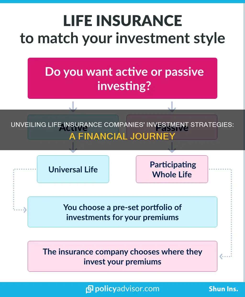 where do life insurance cmopanies invest money