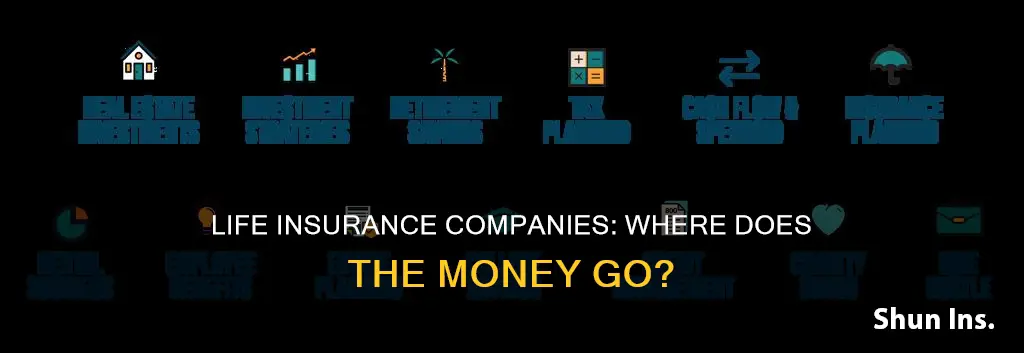 where do life insurance cmopanies invest money
