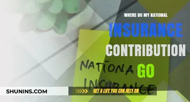 National Insurance Contributions: Where Does the Money Go?