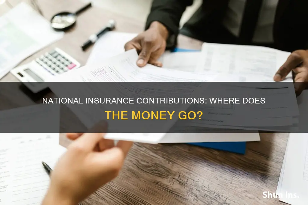 where do my national insurance contributions go