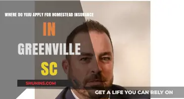 Greenville, SC: Best Places for Homestead Insurance