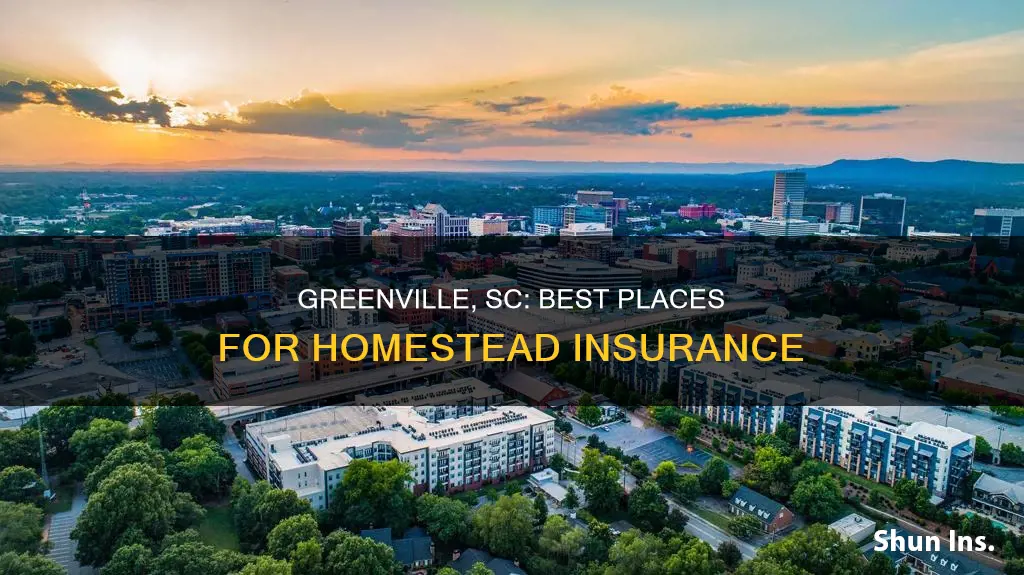 where do yoiu apply for homestead insurance in greenville sc