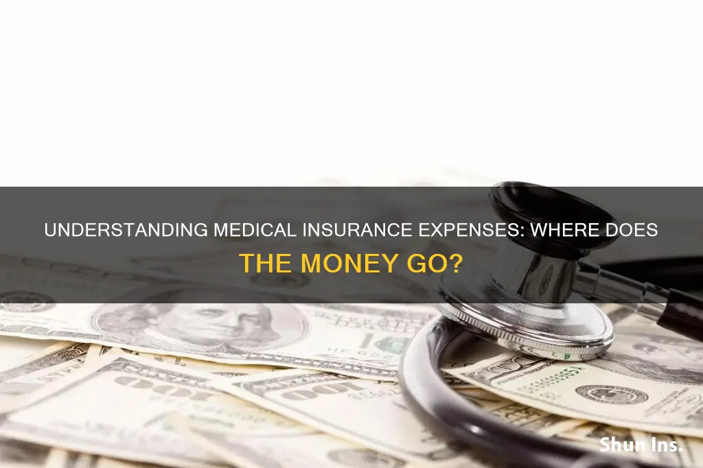 where do you expense medical insurance