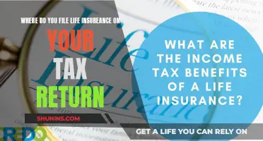 Life Insurance and Taxes: Where to File on Your Return