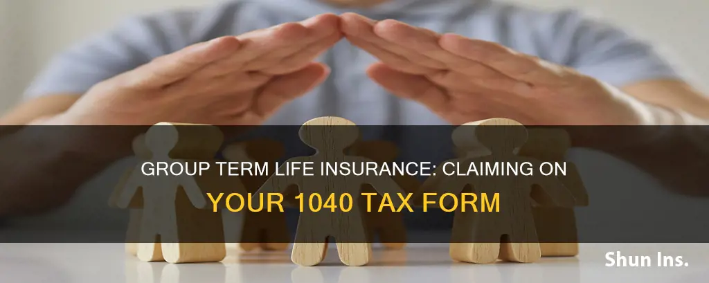 where do you put group term life insurance on 1040