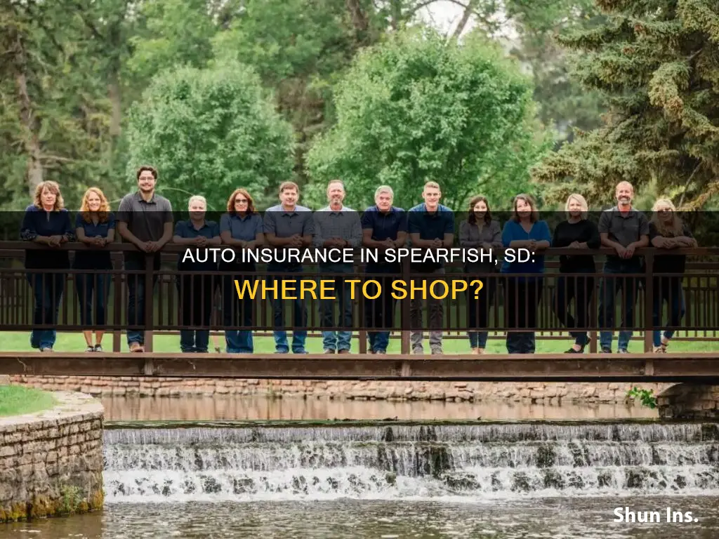 where do you shop for auto insurance in spearfish sd