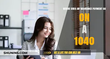 Understanding Tax Returns: Insurance Payments and 1040 Forms