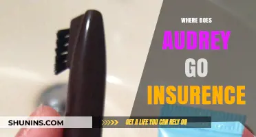 Audrey's Insurance Adventure: Where Does She Go?
