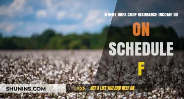 Crop Insurance Income: Where Does it Belong on Schedule F?