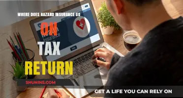 Maximizing Tax Returns: Hazard Insurance Claims