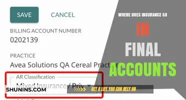 Insurance in Final Accounts: Where Does It Belong?