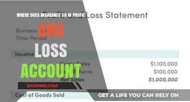 Insurance Costs: P&L Account Placement
