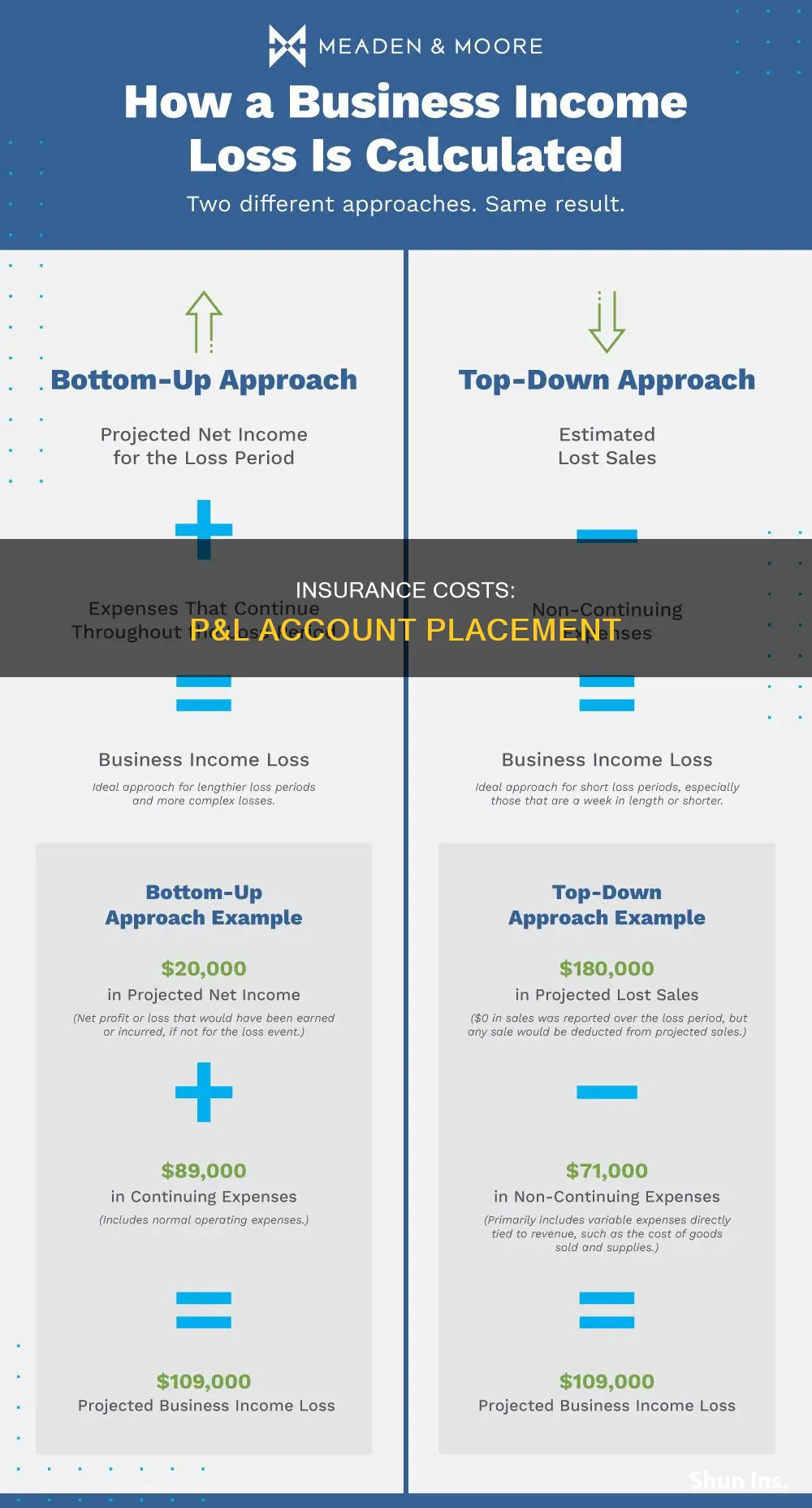 where does insurance go in profit and loss account