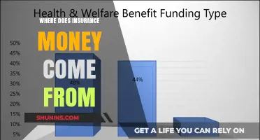 Insurance Money: Where Does It Originate?