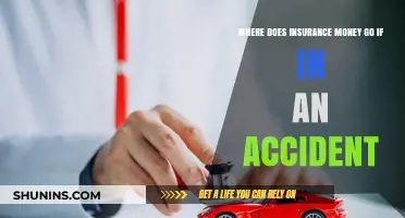 Car Accident Insurance: Who Gets Paid?