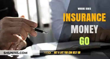 Insurance Money: Where Does it Go?