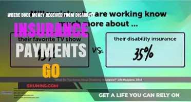 Disability Insurance Payments: Where Does the Money Go?