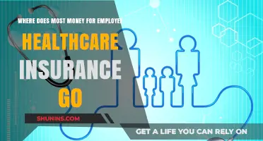 Healthcare Insurance: Where Does All the Money Go?