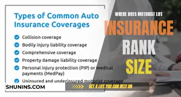 Life Insurance for Drivers: Understanding Motorist Coverage and Its Importance