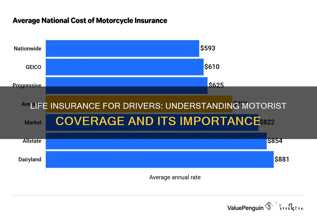 where does motorist life insurance rank size