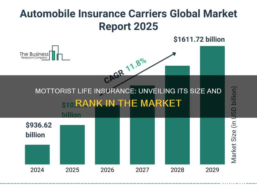 where does mottorist life insurance rank size