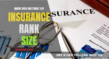 How Big Is Motorist Life Insurance?