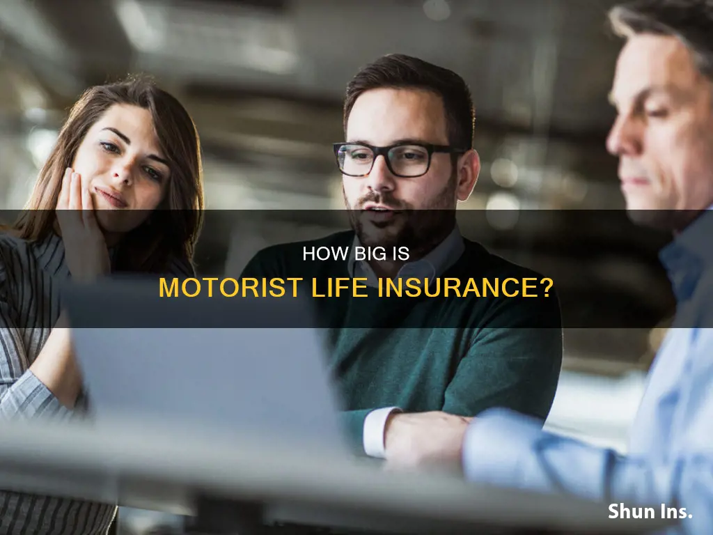 where does mottorist life insurance rank size