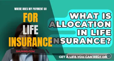 Unraveling the Mystery: Where Your Life Insurance Premiums Go