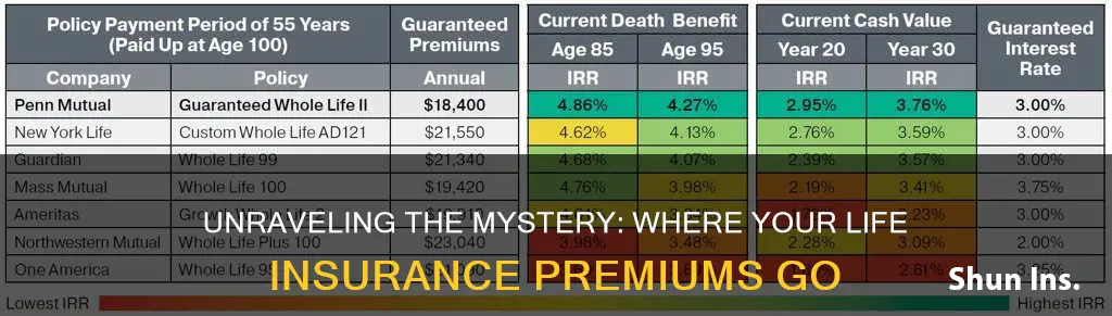 where does my payment go for life insurance