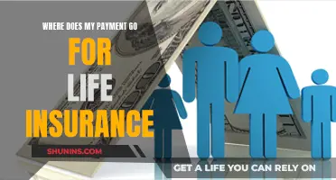 Life Insurance: Where Does My Money Go?