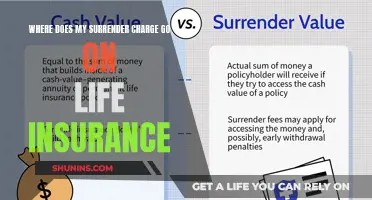 Understanding the Impact: Where Your Surrender Charge Goes on Life Insurance