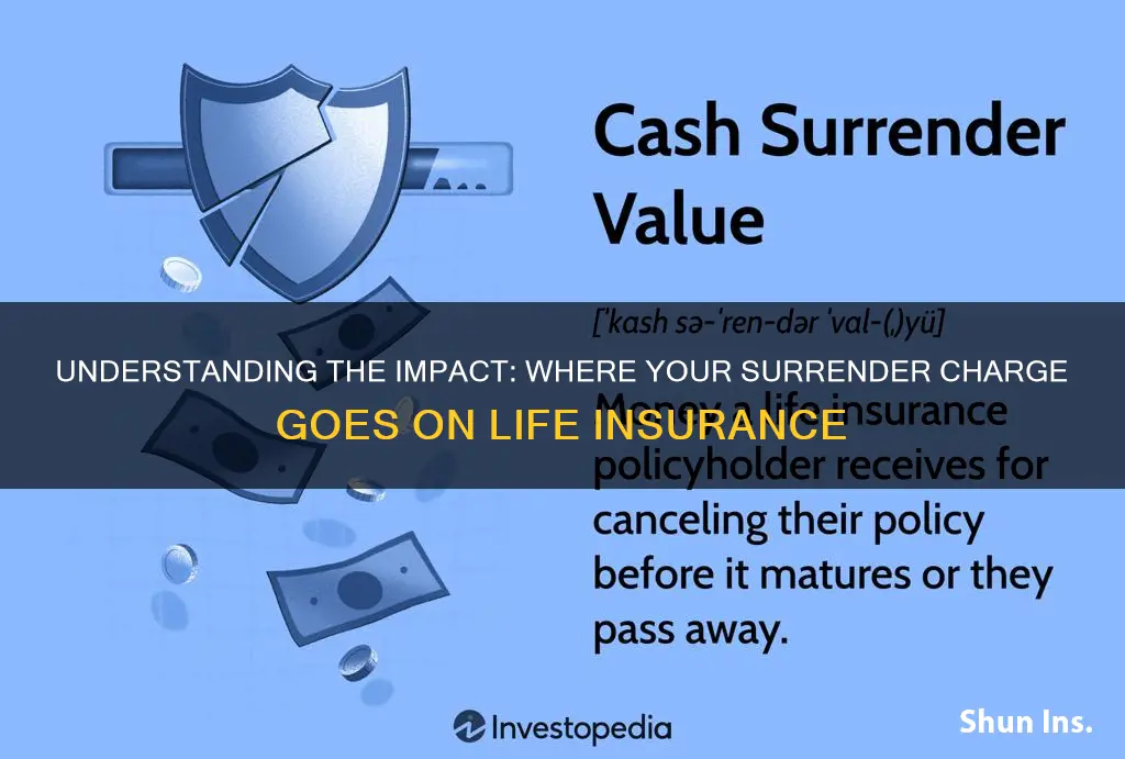 where does my surrender charge go on life insurance