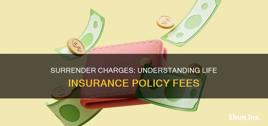 where does my surrender charge go on life insurance