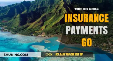 National Insurance Payments: Where Does the Money Go?