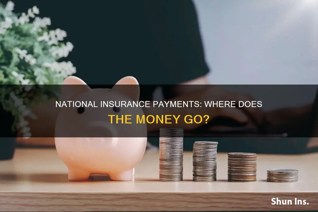 where does national insurance payments go