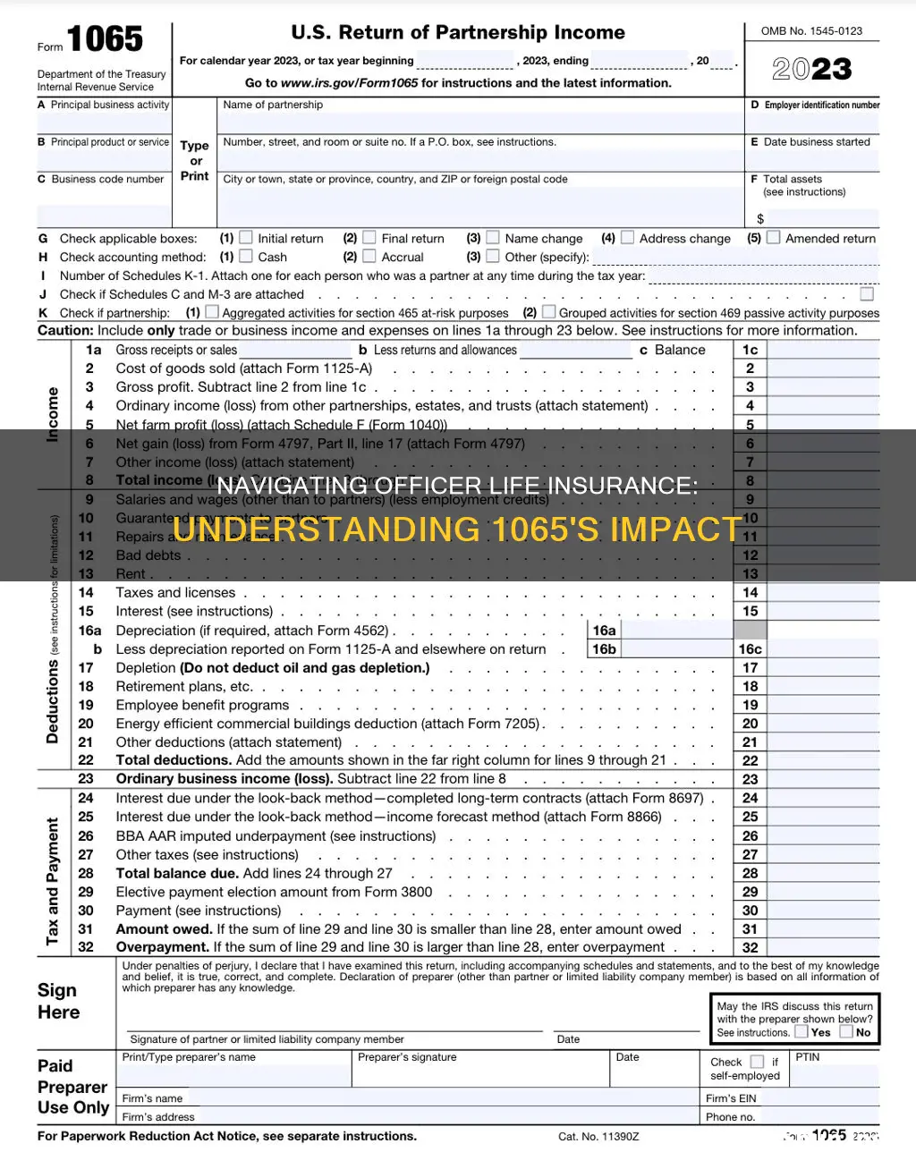 where does officer life insurance go on 1065