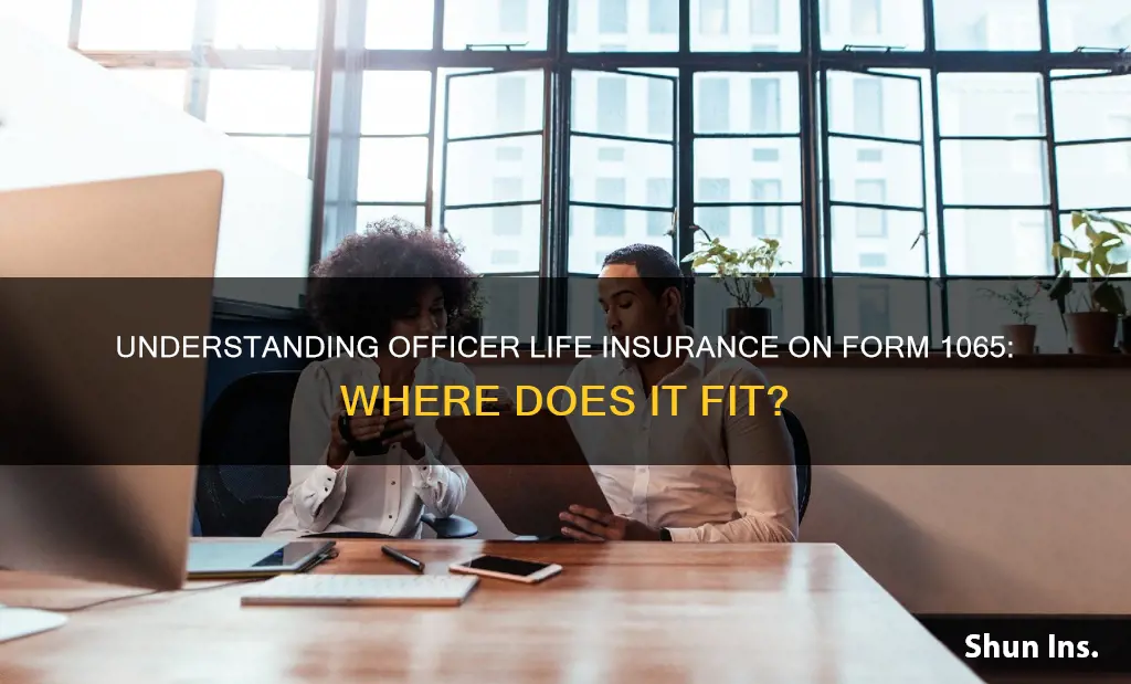 where does officer life insurance go on 1065