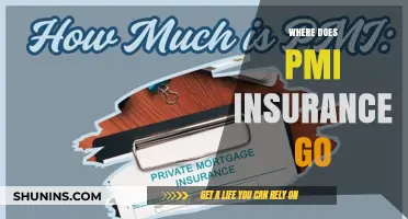 PMI Insurance: Where Does the Money Go?