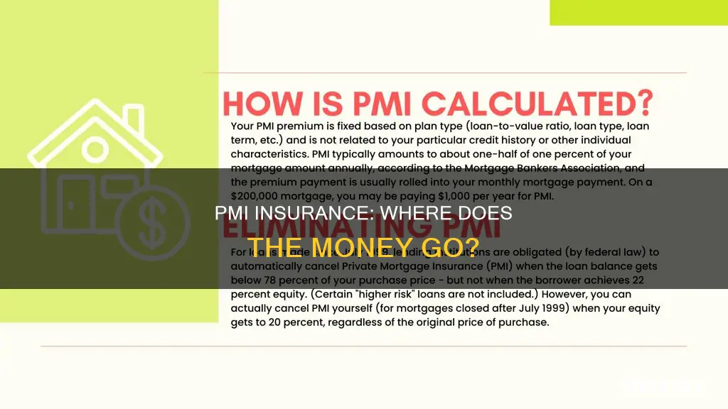 where does pmi insurance go