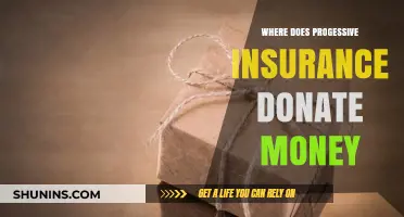 Progressive Insurance's Donation Destinations
