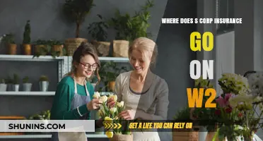 S Corp Insurance: W-2 Box Placement