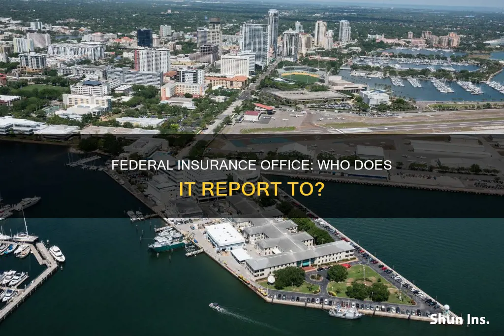 where does the federal insurance office report to