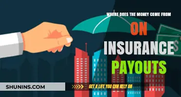 Insurance Payouts: Where Does the Money Originate?