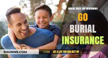 The Remaining Go Burial Insurance: Who Gets the Payout?