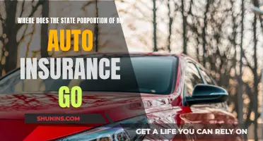 Auto Insurance Allocation: Where Does State Money Go?