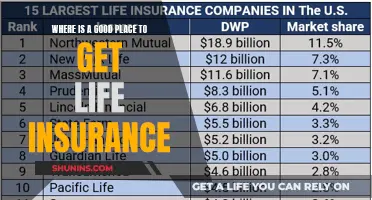 Top Life Insurance Providers: Finding the Best Coverage