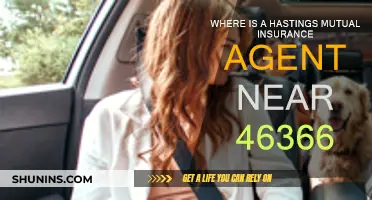 Mutual Insurance Agents: Find One Near You